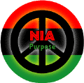 Kwanza Principle NIA Purpose