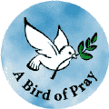 Bird of Pray (Peace Dove picture)