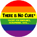 There is No Cure Except for Ignorance, Homophobia, Hate GAY PRIDE T-SHIRTS