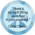 There is No Such Thing as Defeat in Nonviolence