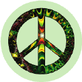 Act In Civil Disobedience
