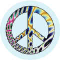 Join Anti War Protests