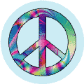 Peace Is Not Liberal Vs Conservative