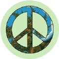 Peace On Earth