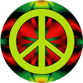 Counter Culture