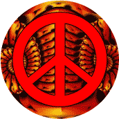 Does Anarchism Rule