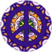 End Terrorism