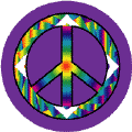 Rainbow Mountaintop 3--Too Cool 