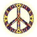 Support Freedom Rides