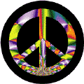 Be A Political Activist