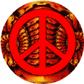 Does Anarchism Rule