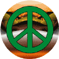 Peace Frog Landscape