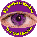 Big Brother is Watching Your Civil Liberties