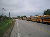 busses suck