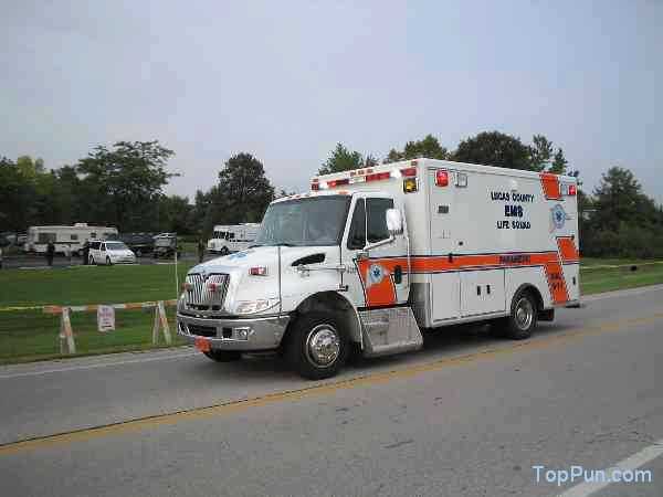 Bush Bus