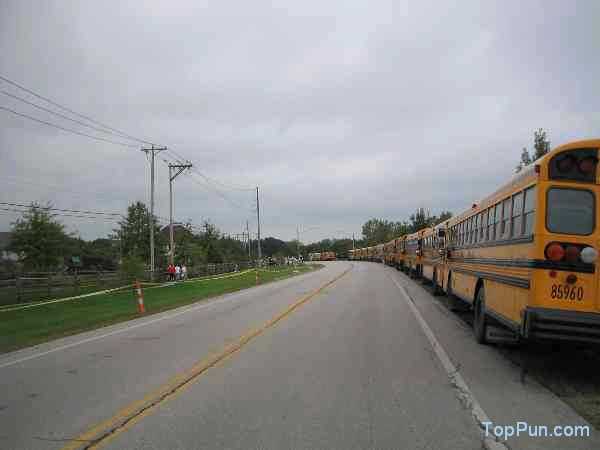 Busses suck