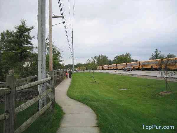 Busses suck
