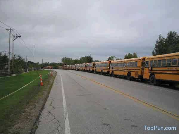 Busses suck